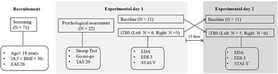 Reduction of drive for thinness and body dissatisfaction in people with self-reported dysregulated eating behaviors after intermittent theta burst stimulation (iTBS) of the left dorsolateral prefrontal cortex